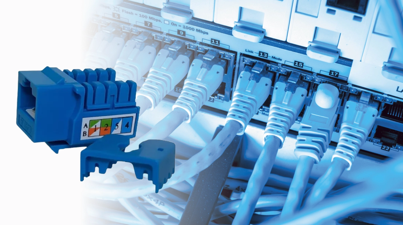 vista frontal del jack azul cat6 netlinks